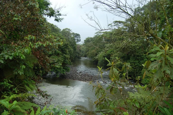 Utsikt Över Peguche Vattenfall Ecuador — Stockfoto