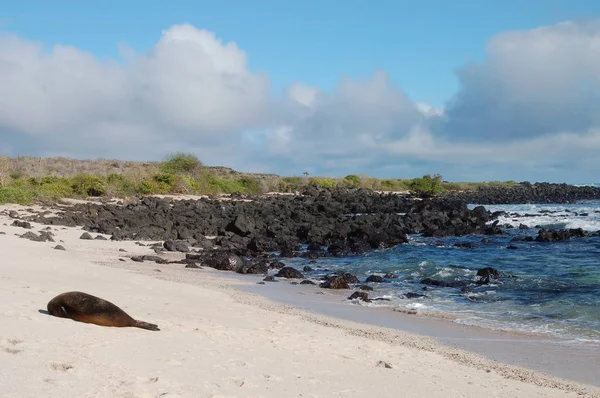Paisaje Isla San Cristóbal Galápagos — Foto de Stock
