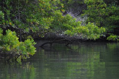Sanc Cristobal Adası, Galapagos manzara görünümü