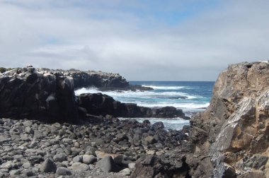 Espanola sahil Adası, Galapagos Milli Parkı, Ecuador