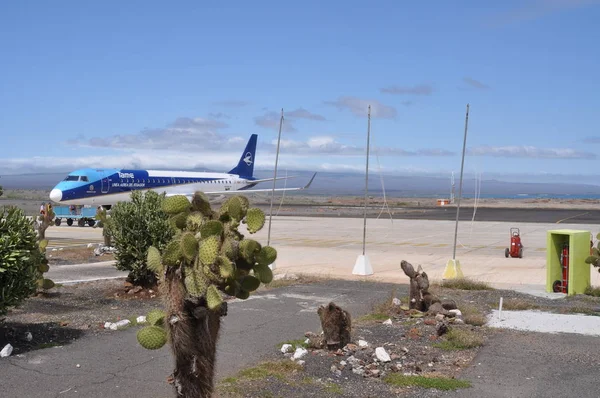 Baltra Adasında Airplante Bekliyor — Stok fotoğraf
