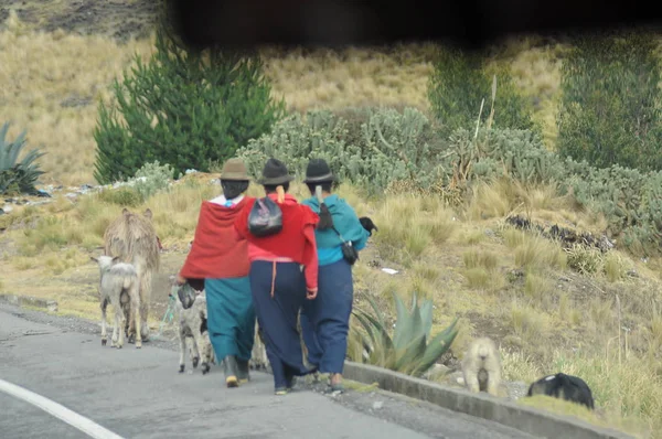 Lidé Chodící Ulici Horské Vesnici Alausi Ekvádor — Stock fotografie