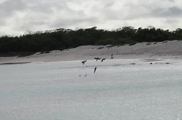 Puesta Sol Mar Galápagos —  Fotos de Stock