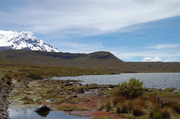 Feldlandschaft Vor Dem Vulkan Cotopaxi — Stockfoto