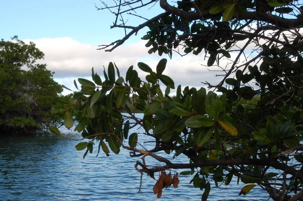 Widok Krajobrazu Wyspę Sanc Cristobal Galapagos — Zdjęcie stockowe