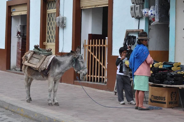 Personas Caminando Calle Del Pueblo Montaña Alausi Ecuador — Foto de Stock