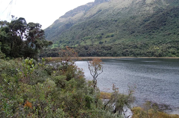 Panorama Cajas National Park Ecuador — Stock Photo, Image