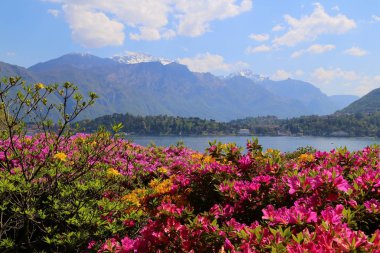 Villa Carlotta bahçesinin görünümü