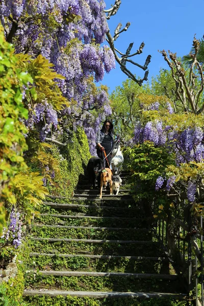 Vrouw Haar Hond Een Park — Stockfoto