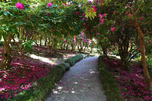 View Garden Villa Carlotta — Stock Photo, Image