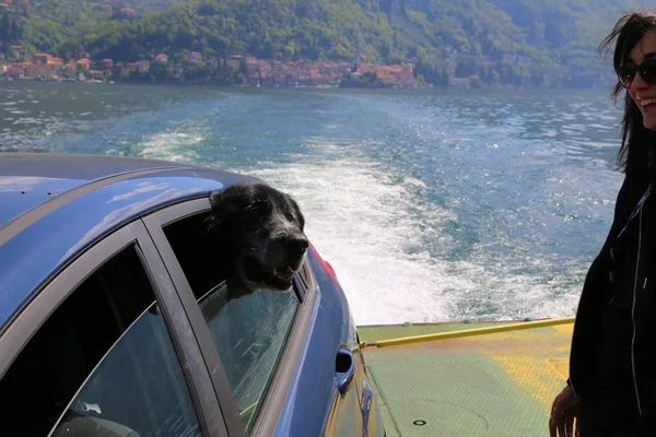 Como Gölü Talya Köpeği Olan Genç Bir Kadın — Stok fotoğraf