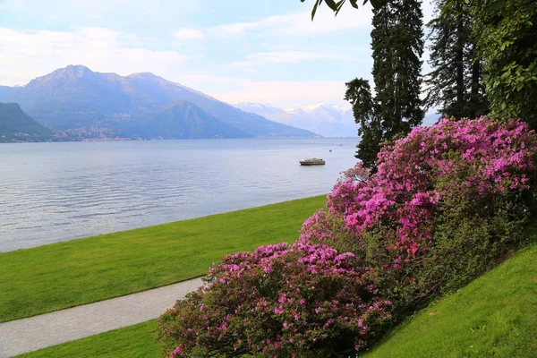 Villa Melzi Bahçesi Bellagio Talya — Stok fotoğraf