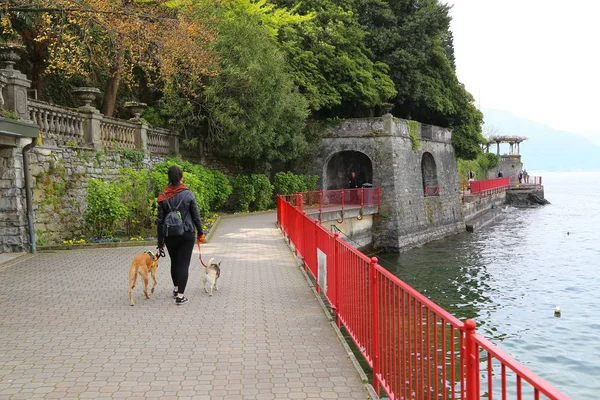 Jovem Mulher Com Cão Visitar Varenna Aldeia Como Lago — Fotografia de Stock