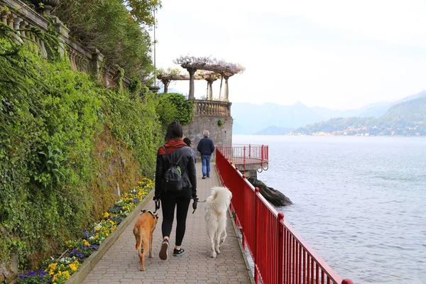 Jovem Mulher Com Cão Visitar Varenna Aldeia Como Lago — Fotografia de Stock