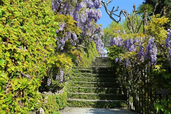 Θέα Στη Βεράντα Του Villa Del Balbianello — Φωτογραφία Αρχείου