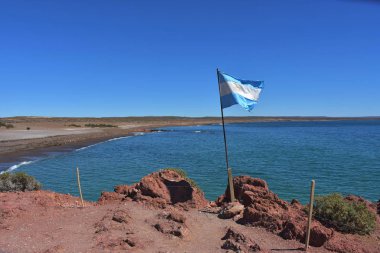 Punta Tombo beach day view, Patagonia, Argentina clipart