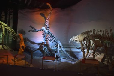 Buenos Aires sokakta trafik ve insanların görünümü