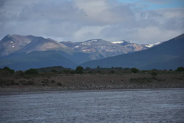 Prachtige Landschap Van Beagle Channel — Stockfoto