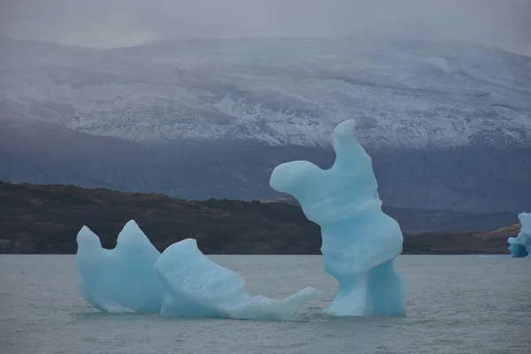 Блакитні Айсберги Озері Аргентіно Патагонії Аргентина — стокове фото