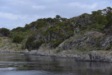 Beagle kanal güzel manzara