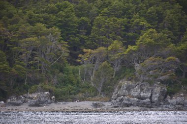 Beagle kanal güzel manzara