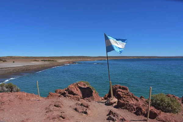 Denní Výhled Pláž Punta Tombo Patagonia Argentina — Stock fotografie
