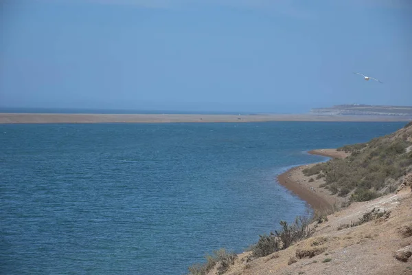 半島バルデス パタゴニア アルゼンチンの美しい大西洋の海岸線 — ストック写真