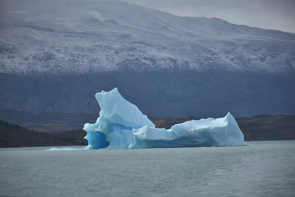 Blå Isberg Argentino Lake Patagonien Argentina — Stockfoto