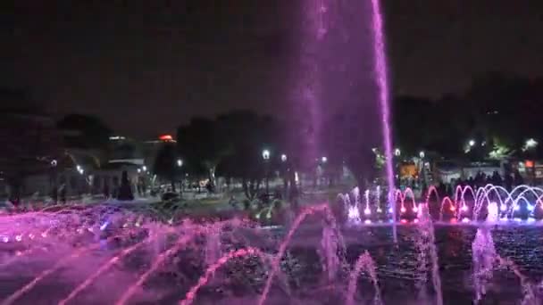 Hagia Sophia Und Brunnen Sultanahmet Park — Stockvideo