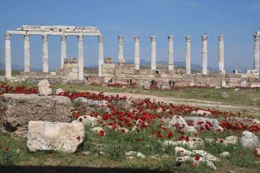 Türkiye'nin Denizli ilinde Laodikeia eski şehir kalıntıları. 