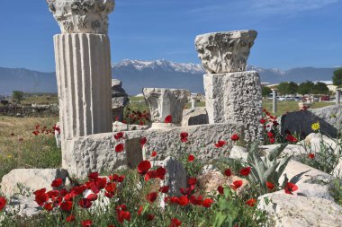 Türkiye'nin Denizli ilinde Laodikeia eski şehir kalıntıları. 
