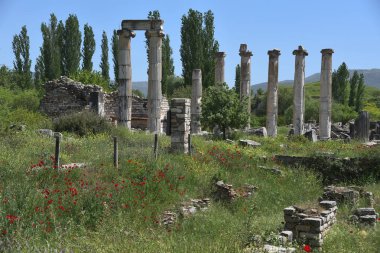 Afrodisias antik kenti kalıntıları, türkiye 