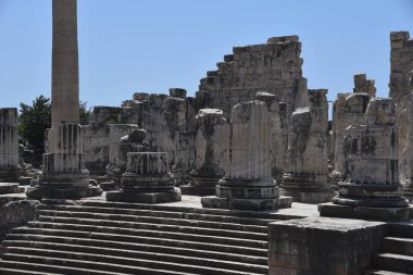 Didyma'daki Apollon Tapınağı, Türkiye