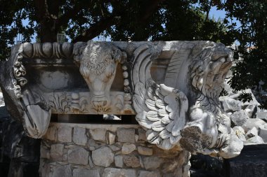 Didyma'daki Apollon Tapınağı, Türkiye