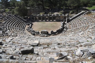 Priene antik Yunan kalıntıları, Türkiye