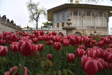 İstanbul Topkapı Sarayı'nı ziyaret eden turistler
