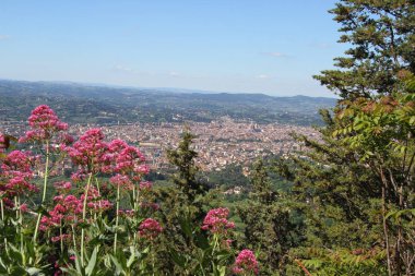 Monte Ceceri 'den Floransa 'nın panoramik manzarası