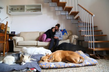 Evde kanepede eğlenmek köpek ile mutlu çift