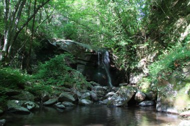 Casentino parkta nehir ve şelale