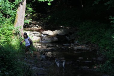 Nehir boyunca köpeklerle yürüyen genç kadın