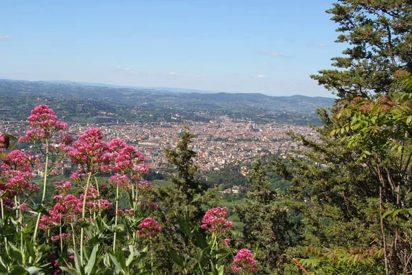 Panoramisch Uitzicht Florence Vanuit Monte Ceceri — Stockfoto