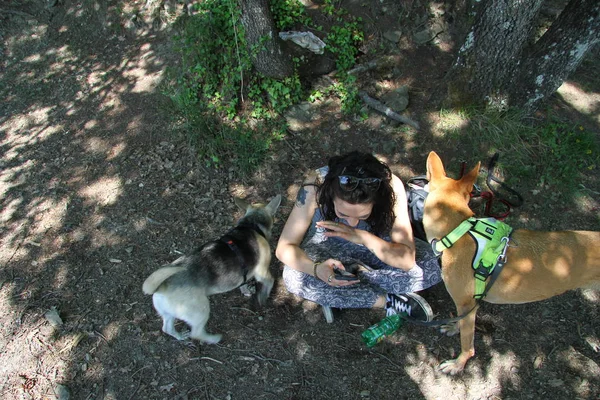 Mujer Joven Paseando Con Perros Largo Del Río — Foto de Stock