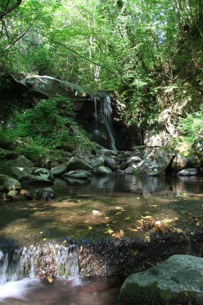 Rivier Waterval Casentino Park — Stockfoto