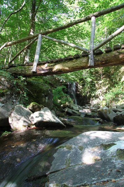 Rivier Waterval Casentino Park — Stockfoto