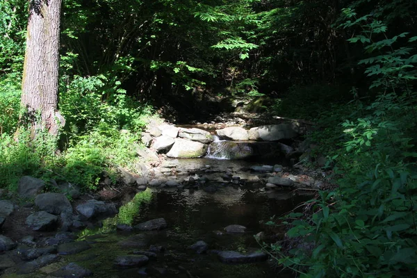 Casentino parkta nehir ve şelale