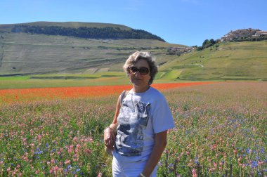 Olgun kadın çiçekaçan yaz çayır poz, Castelluccio, Norcia Köyü, Perugia Eyaleti, Umbria Bölgesi, İtalya