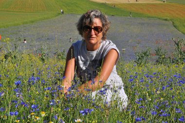 Olgun kadın çiçekaçan yaz çayır poz, Castelluccio, Norcia Köyü, Perugia Eyaleti, Umbria Bölgesi, İtalya