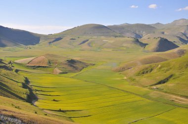 Güzel Çiçek Tarlası, Castelluccio, Umbria, İtalya
