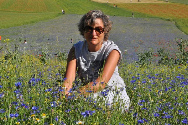 Olgun kadın çiçekaçan yaz çayır poz, Castelluccio, Norcia Köyü, Perugia Eyaleti, Umbria Bölgesi, İtalya