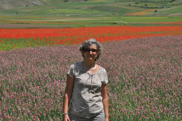 Hermoso Campo Flores Castelluccio Umbría Italia —  Fotos de Stock